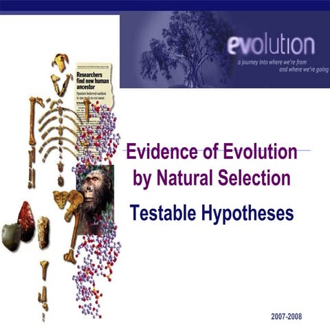 05 ch22evolutiontests2008