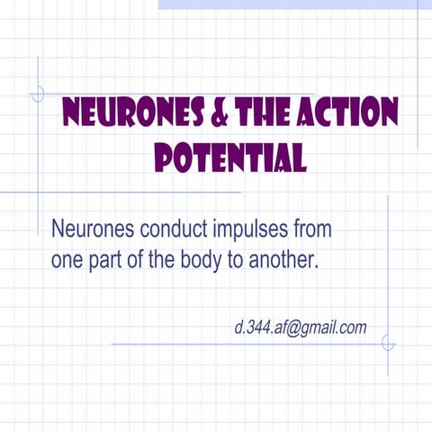 05d neurones & the action potential