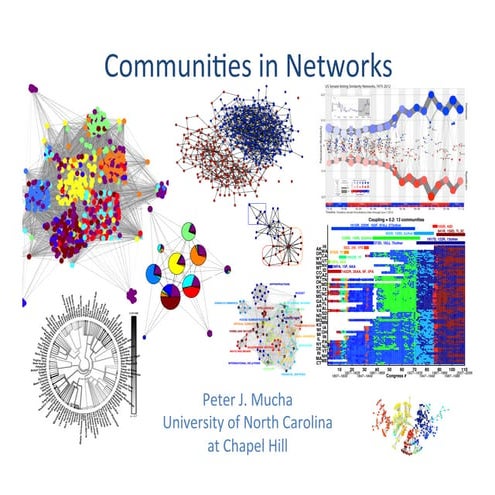 05 Communities in Networks (2016)