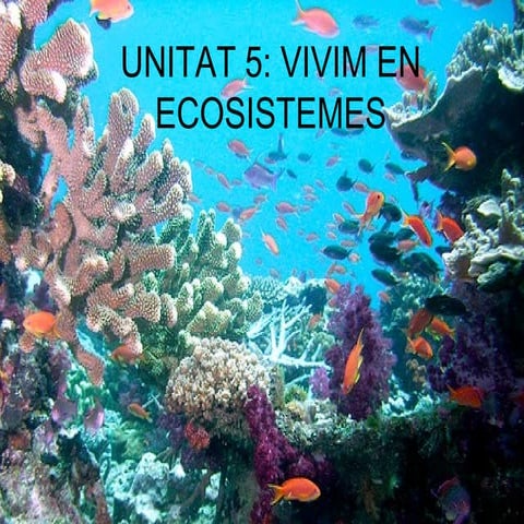 Tema 5, vivim en ecosistemes