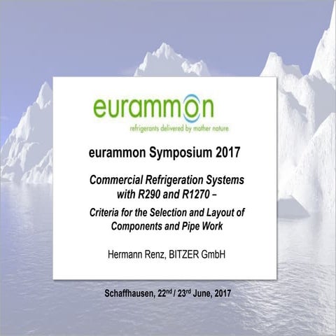 05 eurammon symposium 2017_renz_f3_v2