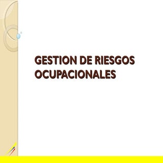05 gestion de riesgos ocupacional2