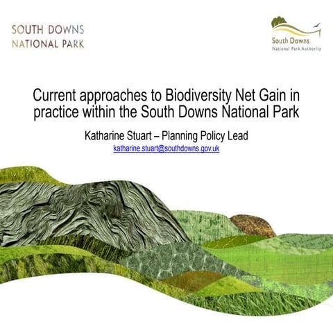 Current approaches to Biodiversity Net Gain in practice within the South Down...