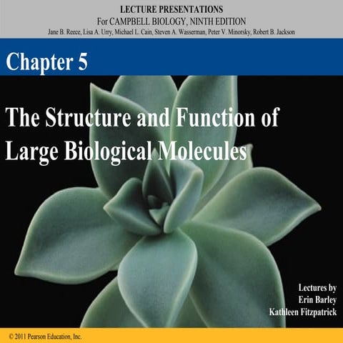 Ch 5: The Structure and Function of Large Biological Molecules