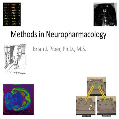 Neuropharmacology: Methods