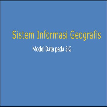 Comprehensive Overview of Spatial Data Models in Geographic Information ...