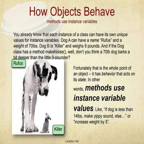 05 object behavior