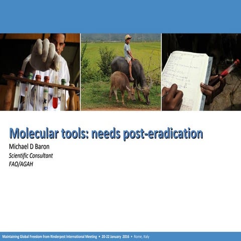 Molecular tools: needs post-eradication