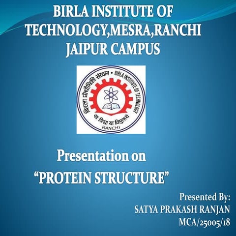 Protein Structure