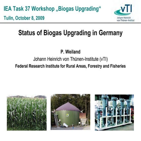 Renewable Energy Development in Germany / Rainer Hinrichs-Rahlwes | PDF