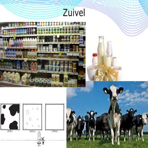 05 zuivel + kaas