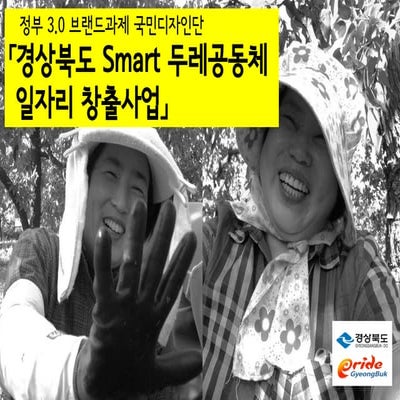 smart두레공동체 서비스디자인 - 경북 정부3.0 브랜드과제 국민디자인단 운영 결과