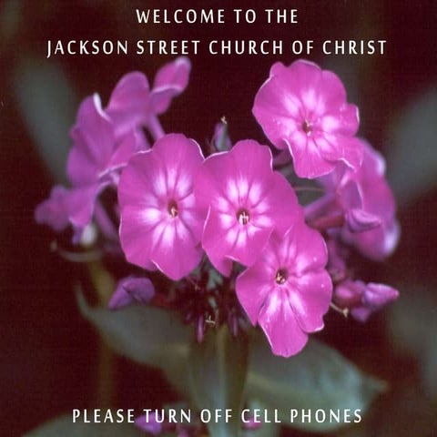 a father who makes you want to go home