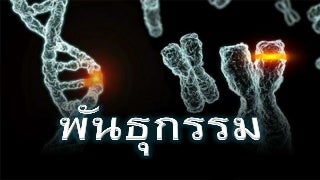 พันธุกรรม ประถม