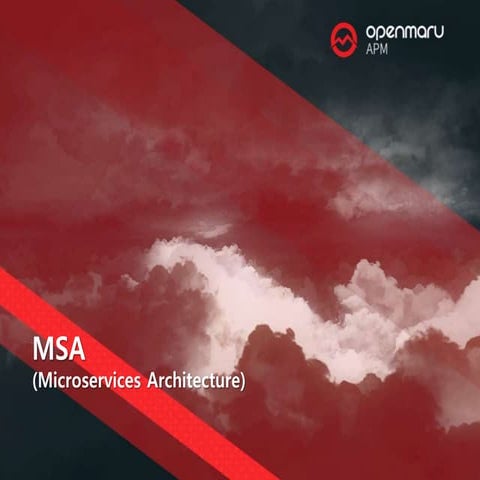 06.  MSA 는 무엇이고 어떻게 다른가?