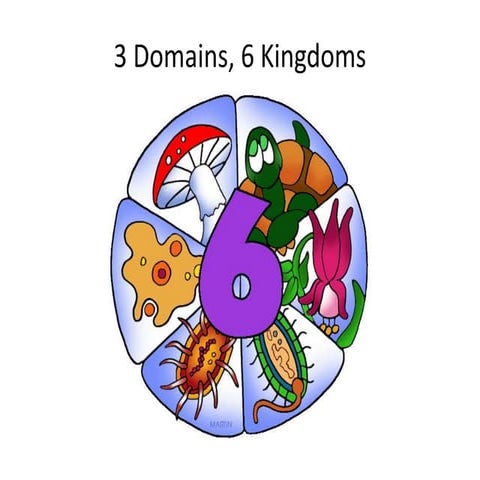 06   6 kingdoms and 3 domains