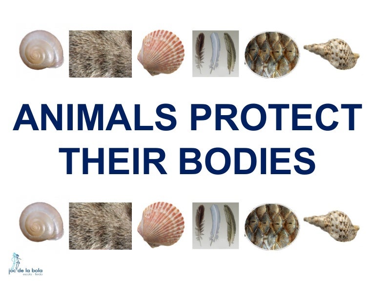 ANIMALS PROTECT THEIR BODY