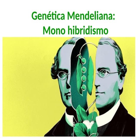 06_-Genética-mendelianaMonohibridismo.pptx