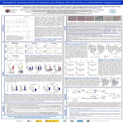 Kaempferol increases levels of oenzyme Q
