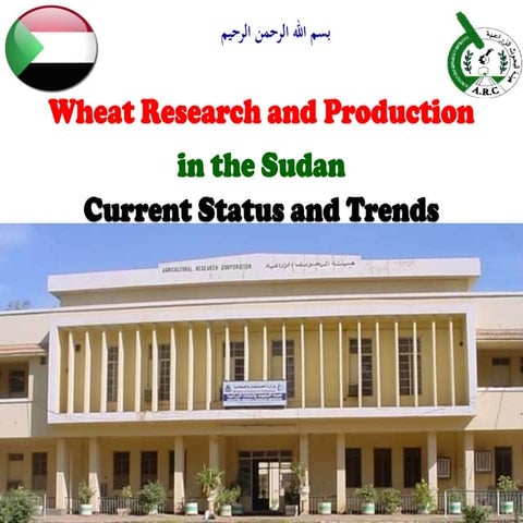 Wheat Research and Production in Sudan: Current Status and Trends