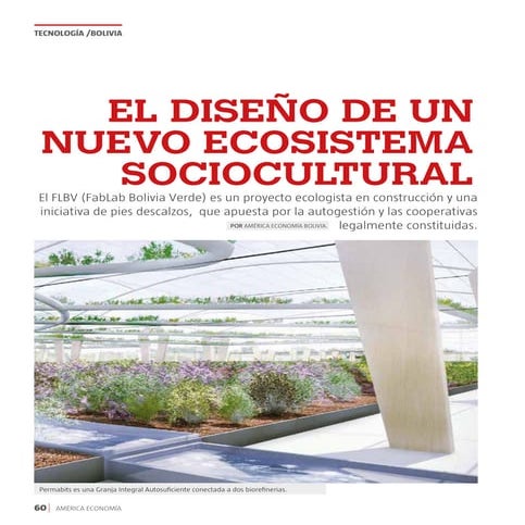 América economía, El diseño de un nuevo ecosistema sociocultural