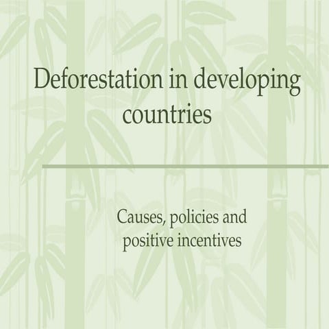 Deforestation in Developing Countries: Causes, Policies, and Positive ...