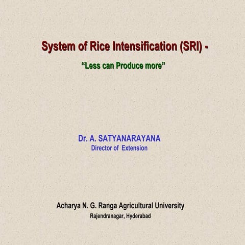 0636 System of Rice Intensification: Less Can Produce More