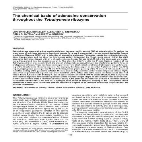 Gutell 065.rna.1998.04.0498