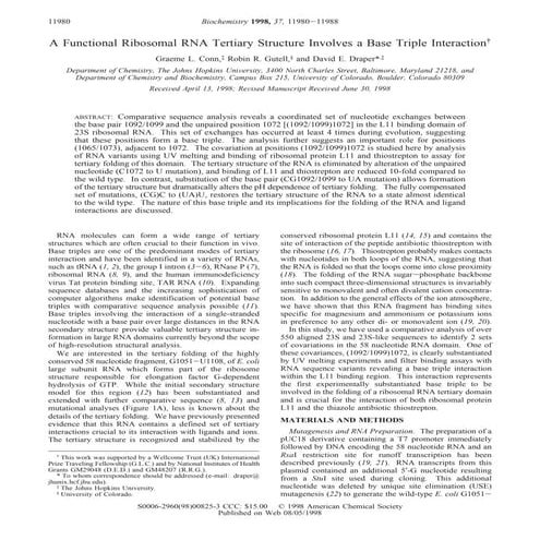 Gutell 066.biochemistry.1998.37.11980