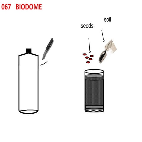 067 biodome | PPT