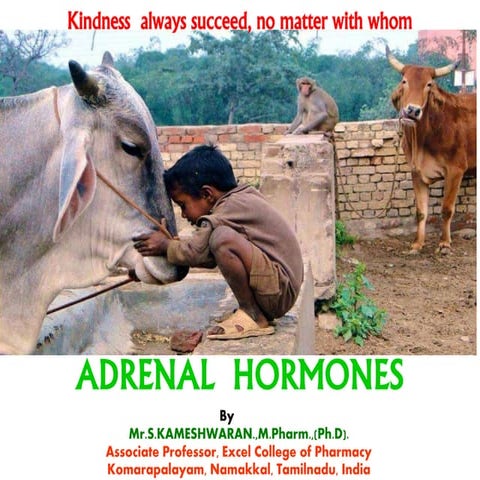 ADRENAL HORMONES & ITS PREPARATIONS
