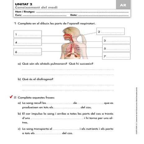 activitats de reforç