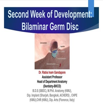06 Bilaminar Germ Disc by Dr. Rabia I. Gandapore.pptx