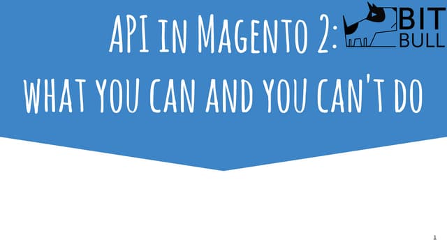 Magento 2 Seminar - Andra Lungu - API in Magento 2