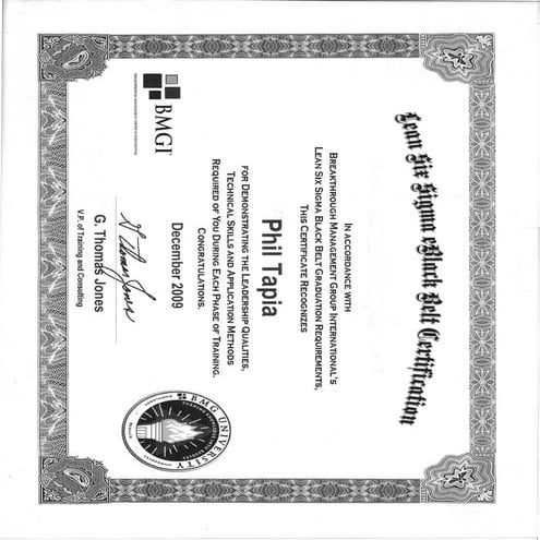 BMGi LSSBB Certification PDF