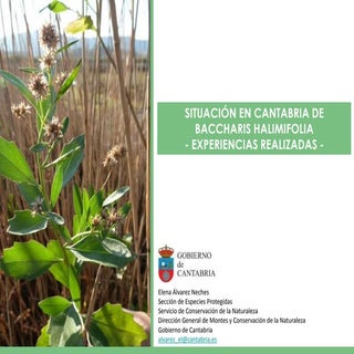 06_experiencias_cantabria.ppsx