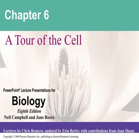 Tour of Cell