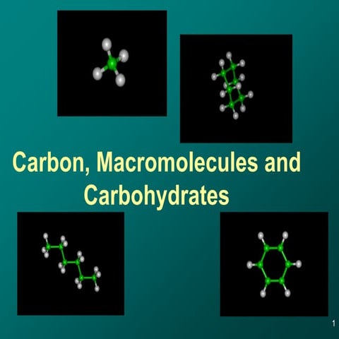06 macromolecule construction and carbs