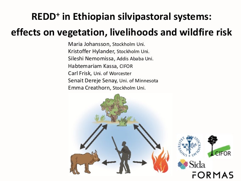 thumbnail of  REDD+ in Ethiopian silvipastoral systems: effects on vegetation, livelihoods and wildfire risk