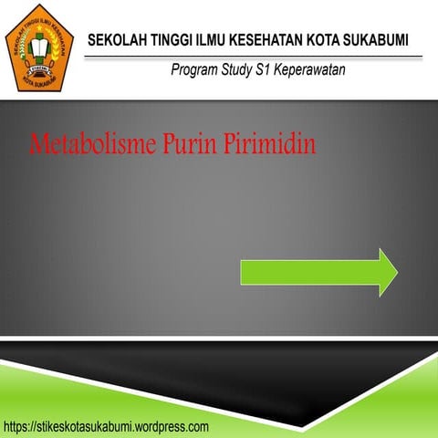 Metabolisme Purin Pirimidin