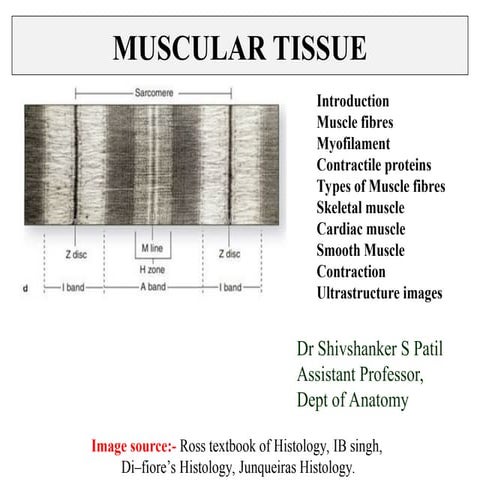 Surface marking Head Neck.ppt