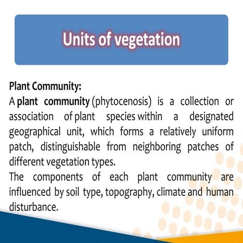Plant communities within Saudi Arabia