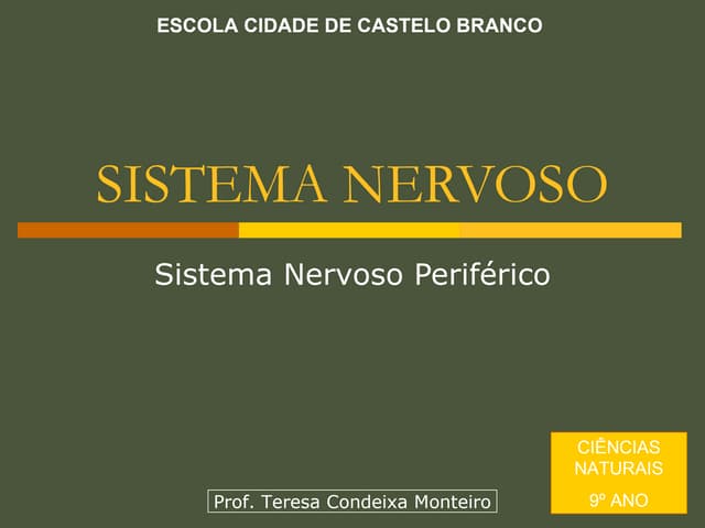 06 Sn Sistema Nervoso PeriféRico Tc...