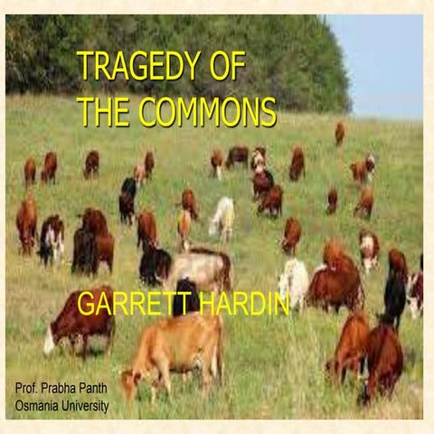 06 tragedy of the commons