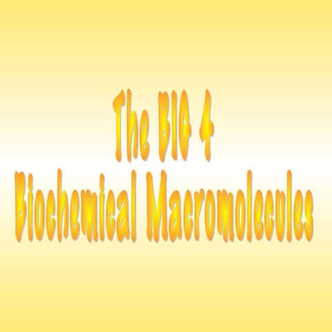 The Big 4: Introduction