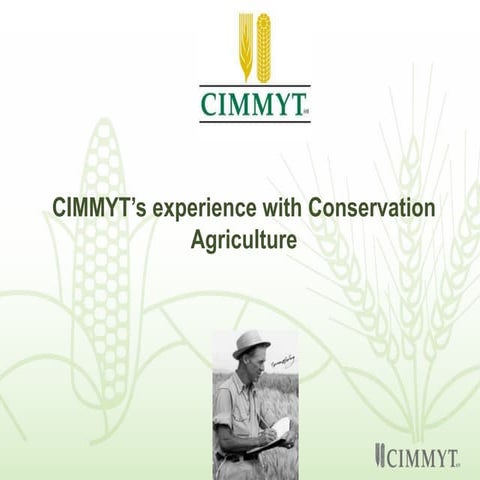 CIMMYT's experience with conservation agriculture 