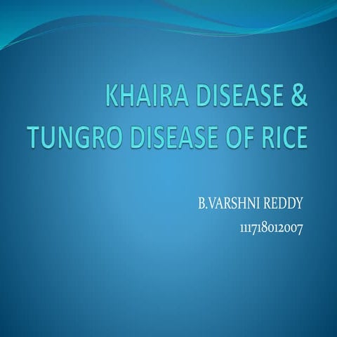 KHAIRA DISEASE AND TUNGRO DISEASE OF RICE