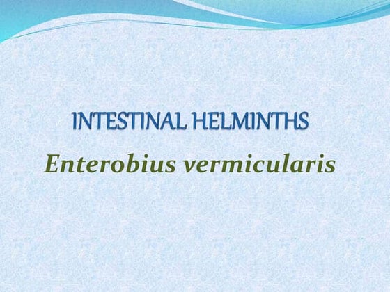 Enterobius vermicularis(PINWORM) | PPTX | Infectious Diseases ...