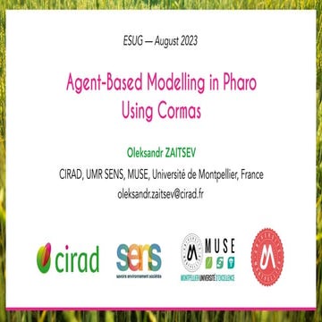 Agent-Based Modelling in Pharo Using Cormas