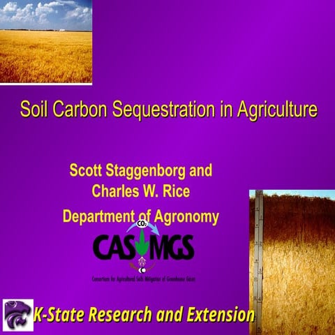 Impact of carbon sequestration on soil and crop productivity | PPT